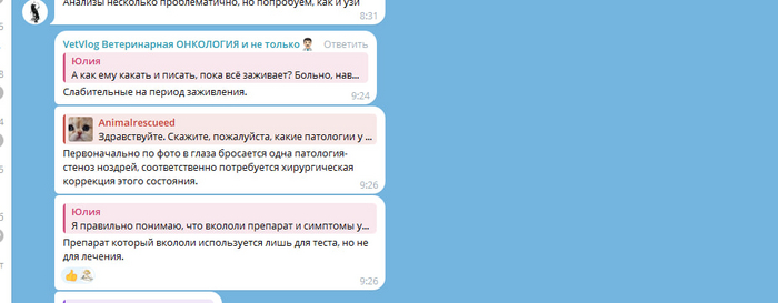 <!--noindex--><a href="https://pikabu.ru/story/otvet_na_post_vyistavka_porodistyikh_koshek_12373082?u=https%3A%2F%2Ft.me%2Fc%2F1856312748%2F14292&t=https%3A%2F%2Ft.me%2Fc%2F1856312748%2F14292&h=1bf8072b843c575ddc04164d84daa7aa92c96e67" title="https://t.me/c/1856312748/14292" target="_blank" rel="nofollow noopener">https://t.me/c/1856312748/14292</a><!--/noindex-->