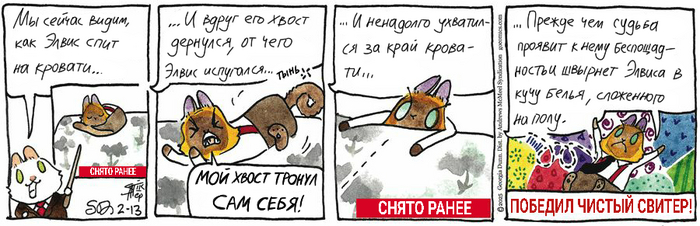    13.02.2025 , ,   (), 