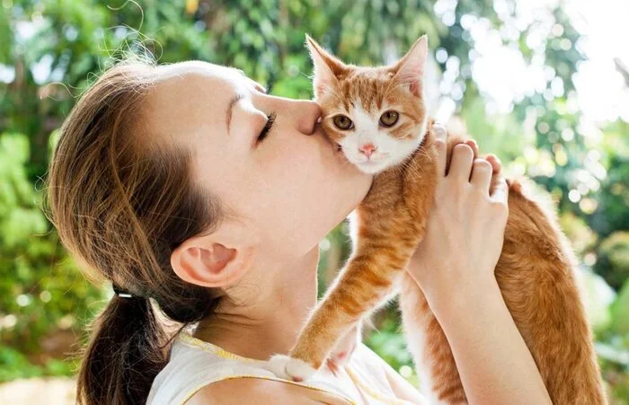 Cats in Our Life: 25 Funny Stories, Jokes and Amusing Observations with Cats - My, cat, Tricolor cat, Fluffy, Cat lovers, Humor, Kittens, Milota, Longpost