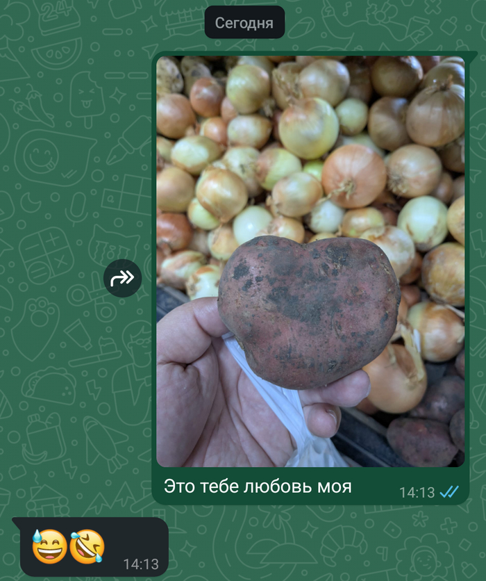     14  , 14  -   , , , ,   , , 