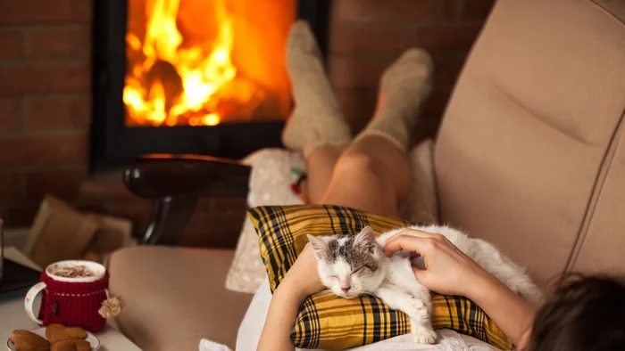 Cats in Our Life: 25 Funny Stories, Jokes and Amusing Observations with Cats - My, cat, Tricolor cat, Fluffy, Cat lovers, Humor, Kittens, Milota, Longpost
