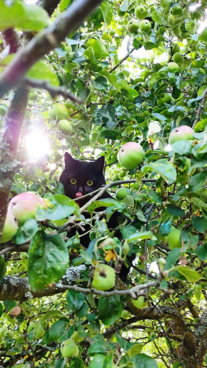 �� ����� ������, �� ����� ������