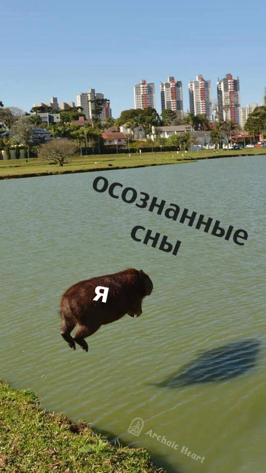 https://cs15.pikabu.ru/post_img/2025/02/13/8/1739452049167340189.jpg