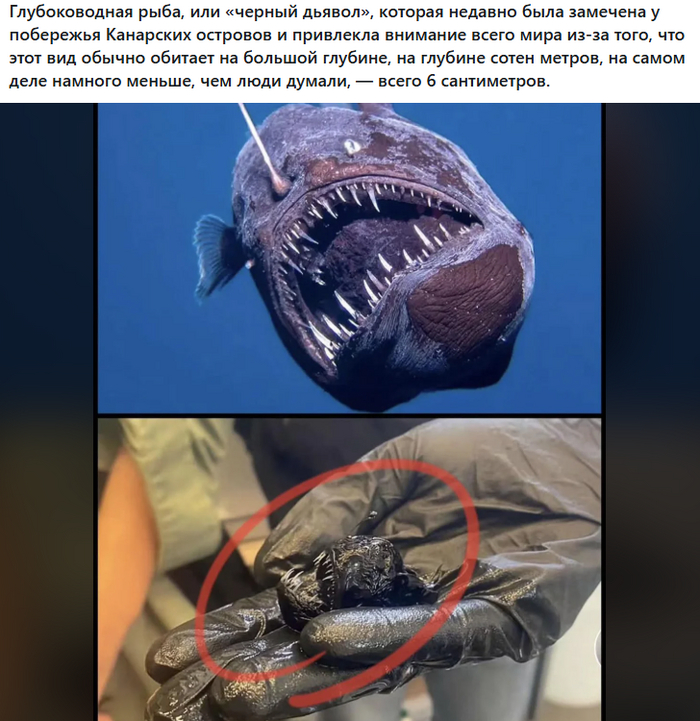       , Reddit, , 
