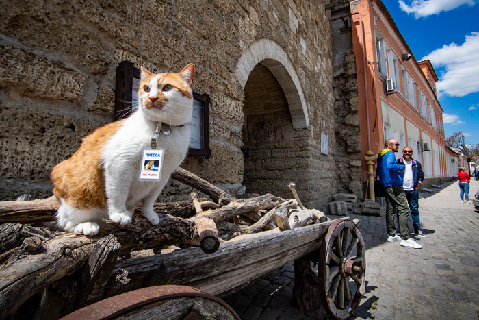 �� ����������.