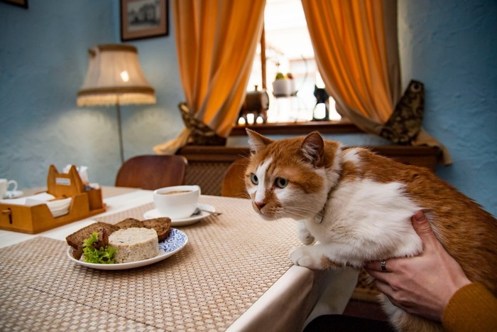 ���� � ������ ���� ����� ����� �������.