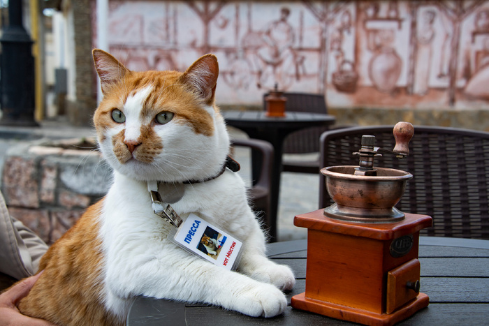 ������� ������� ������.