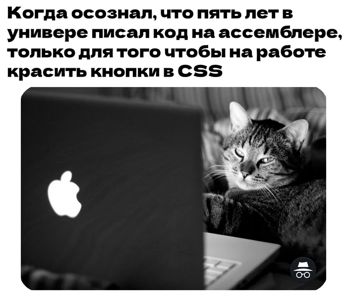 Но за 200к IT, Программирование, Программист, IT юмор, Юмор, Мемы, Удаленная работа, Картинка с текстом