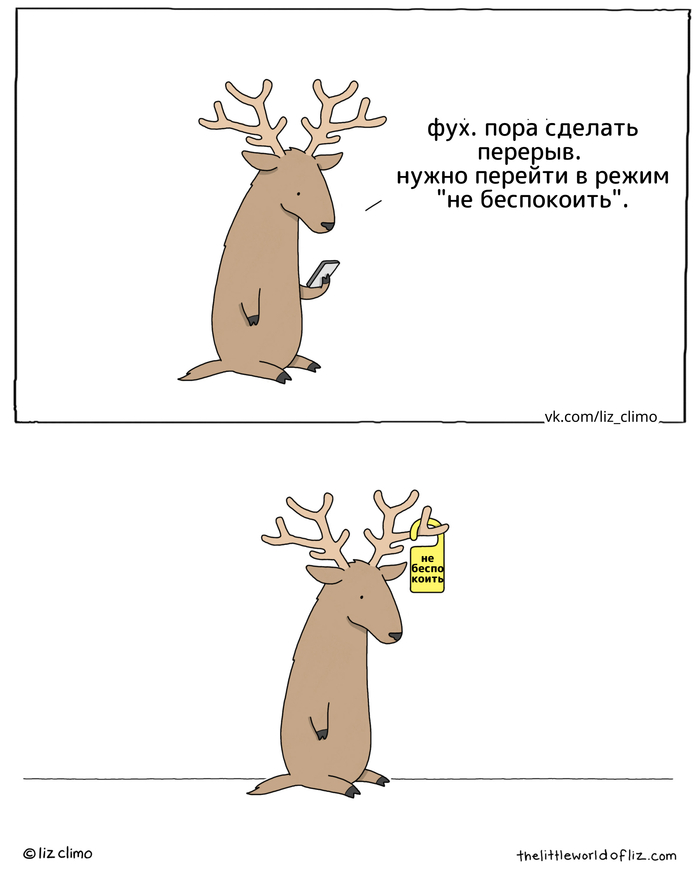   Lizclimo,  , ,  , 