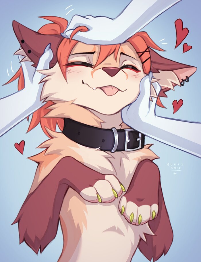   , , Furry Art, Furry Fox