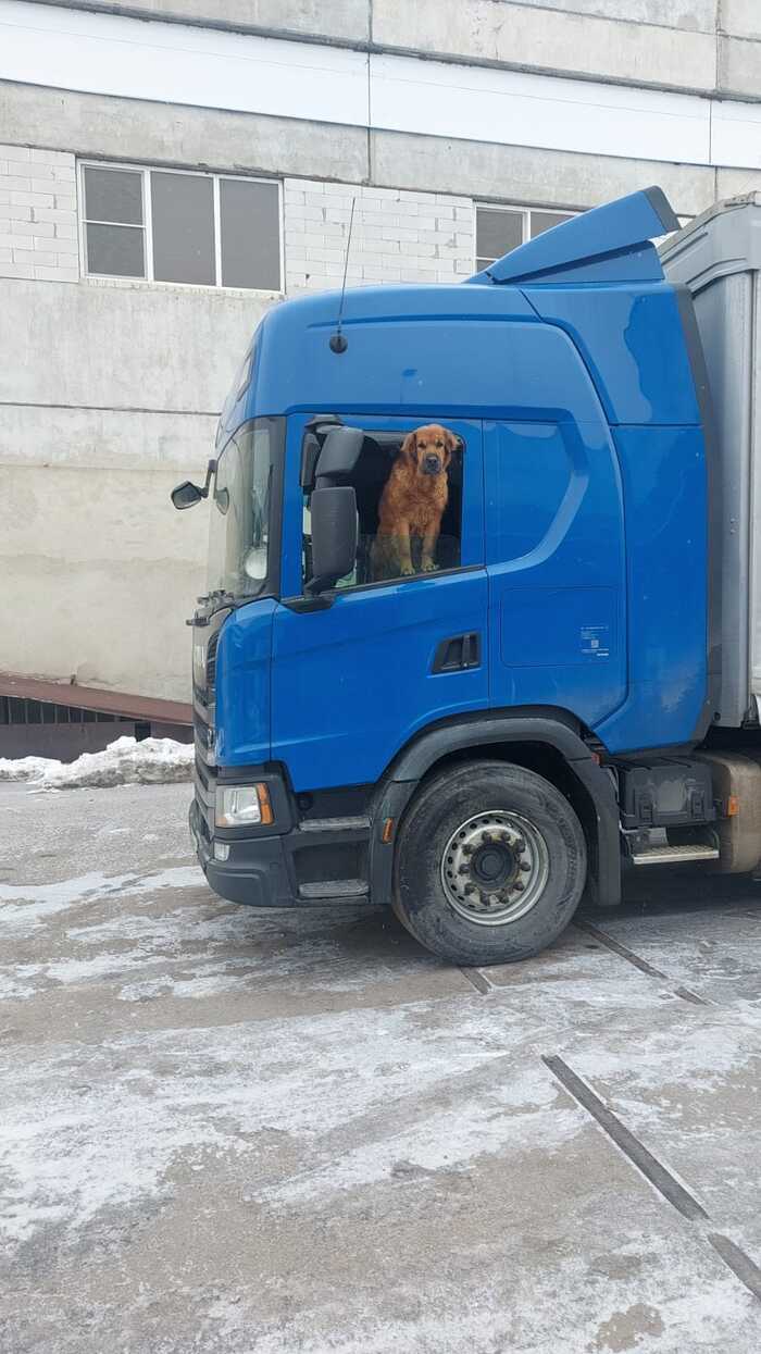 Свирепый охранник