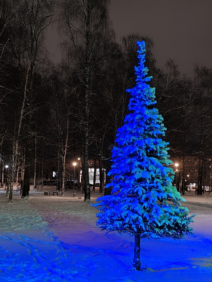 Вечер в парке