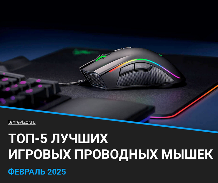   :  2025      ( 5) , , , ,  ,  , ,   ,  , 