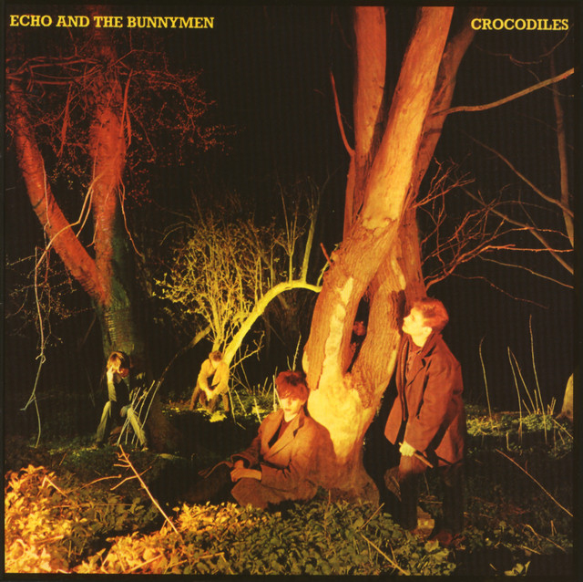   Crocodiles   Echo & The Bunnymen , , , 