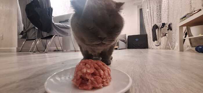  16  ,  , 