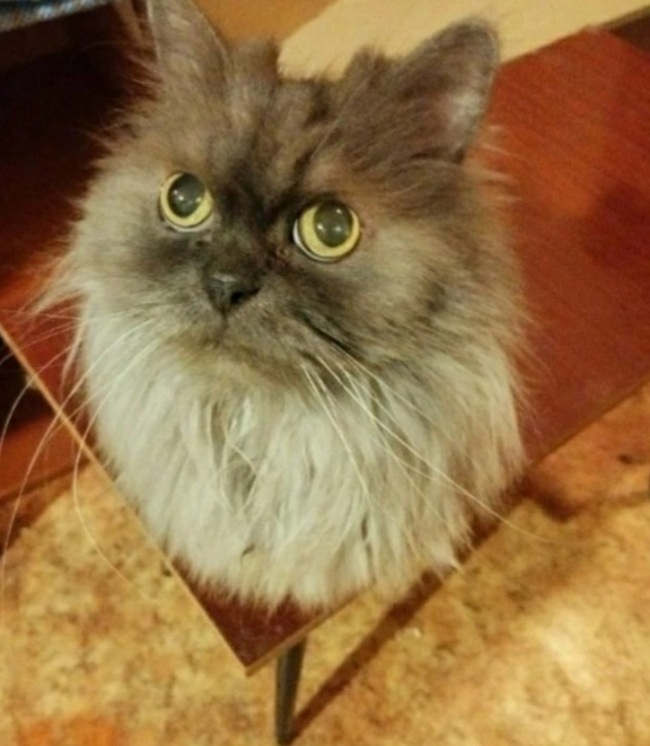   ,  !       !   , ,  , , , , , , , , ,  , 