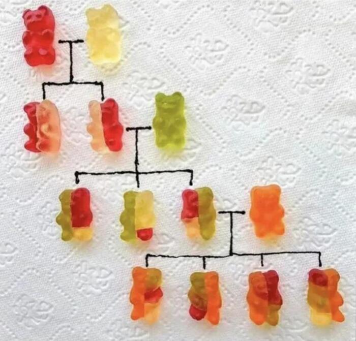       , ,  , , , , 