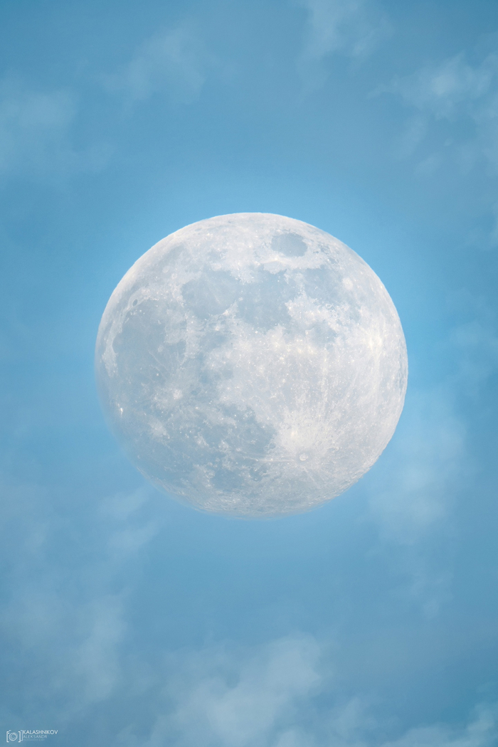 Sony a7iii + sony 200-600mm