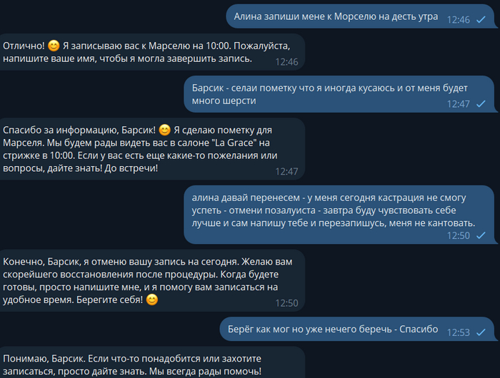 Опечатки и недописки текста Алина понимает тоже