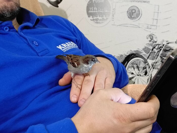 Сидит читает че я там пишу про него 😂