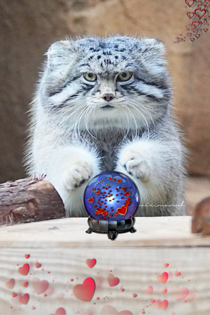 ����, ����, ����� �� ��������� ���� ������