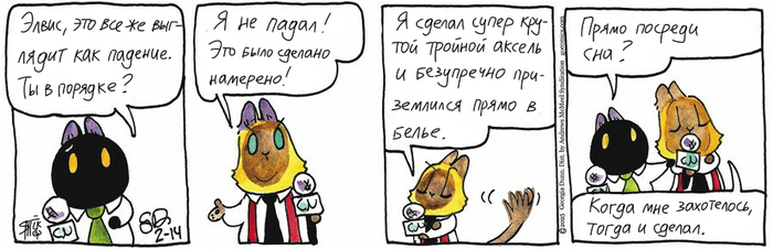 Котейкины Новости от 14.02.2025