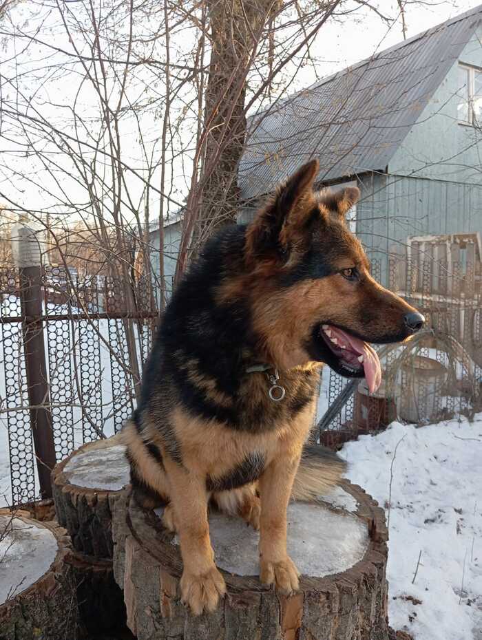 -       .  .  .        . -   .