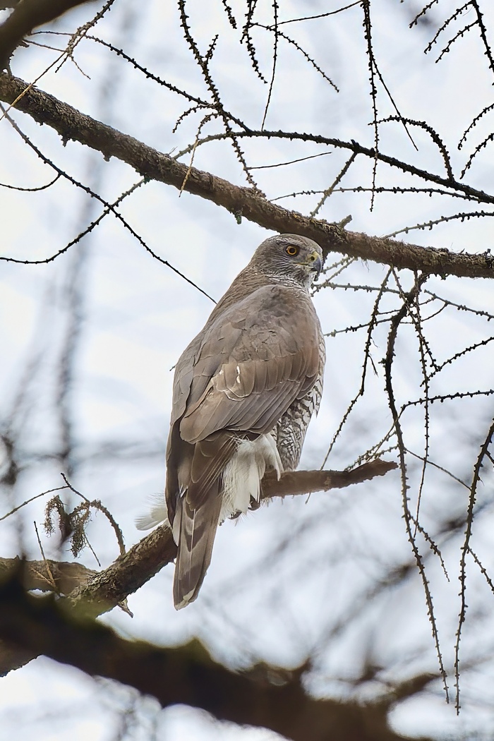 ����� � ���������� �����