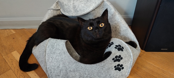 � � �����, ������ ������ ������!