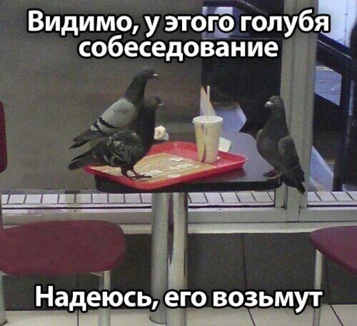 ,     ?