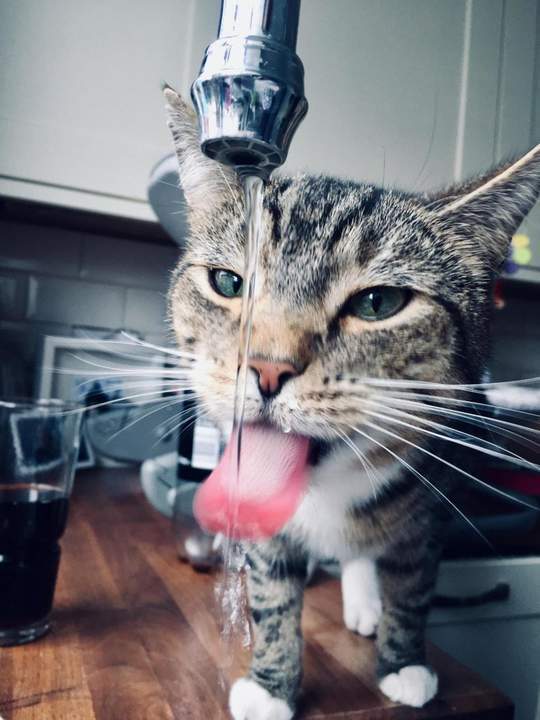 ���� ������ �� ������