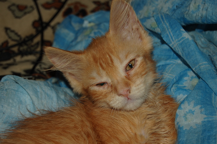 ���� ����� ����� ����� ����� ����.