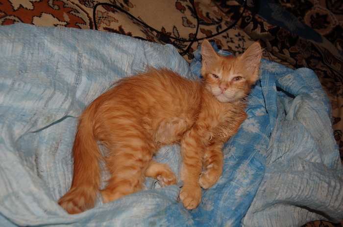 ������, ��� �� �������� :)