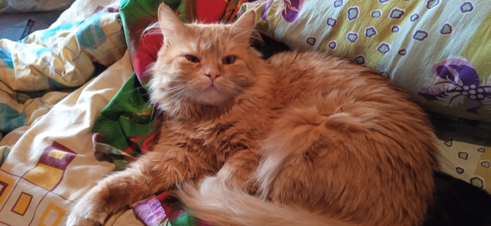 "������ ���������������� �� ���� ���������?"