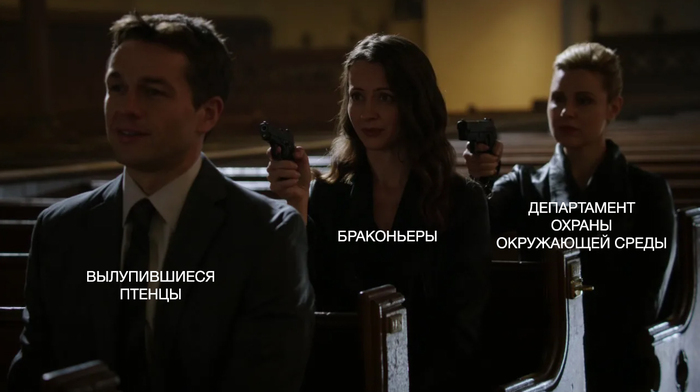 В Москве усиливают охрану редких птиц от браконьеров