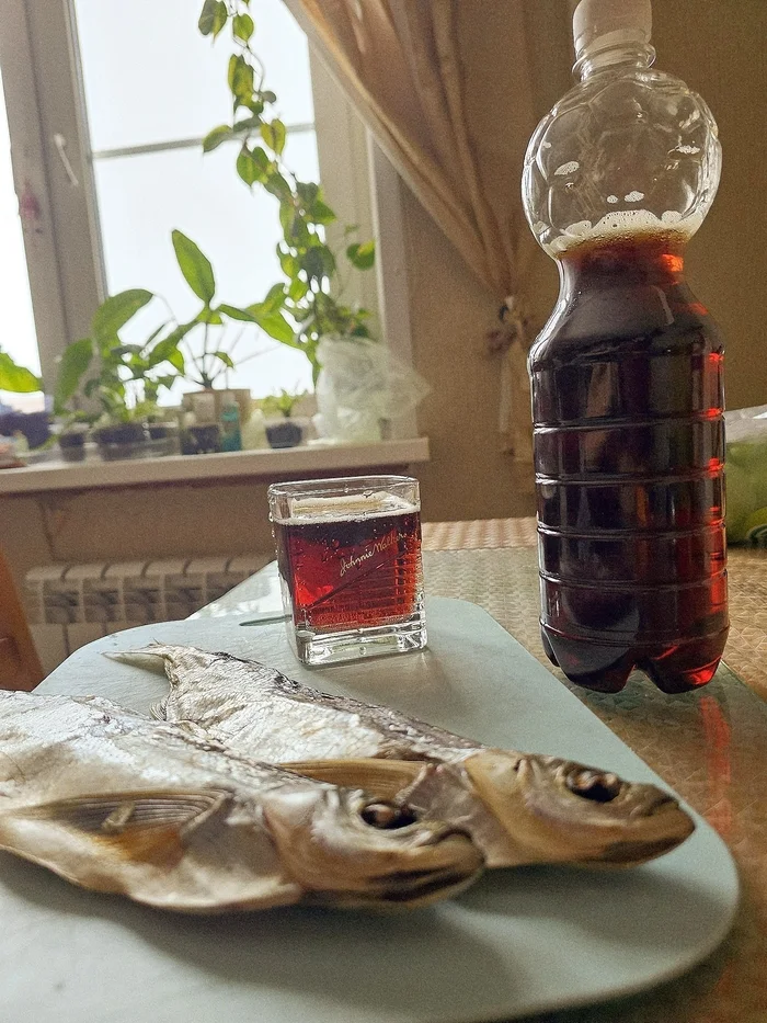 Happy Valentine's Day! - My, February 14 - Valentine's Day, Kvass, Beer, Stockfish, Loneliness