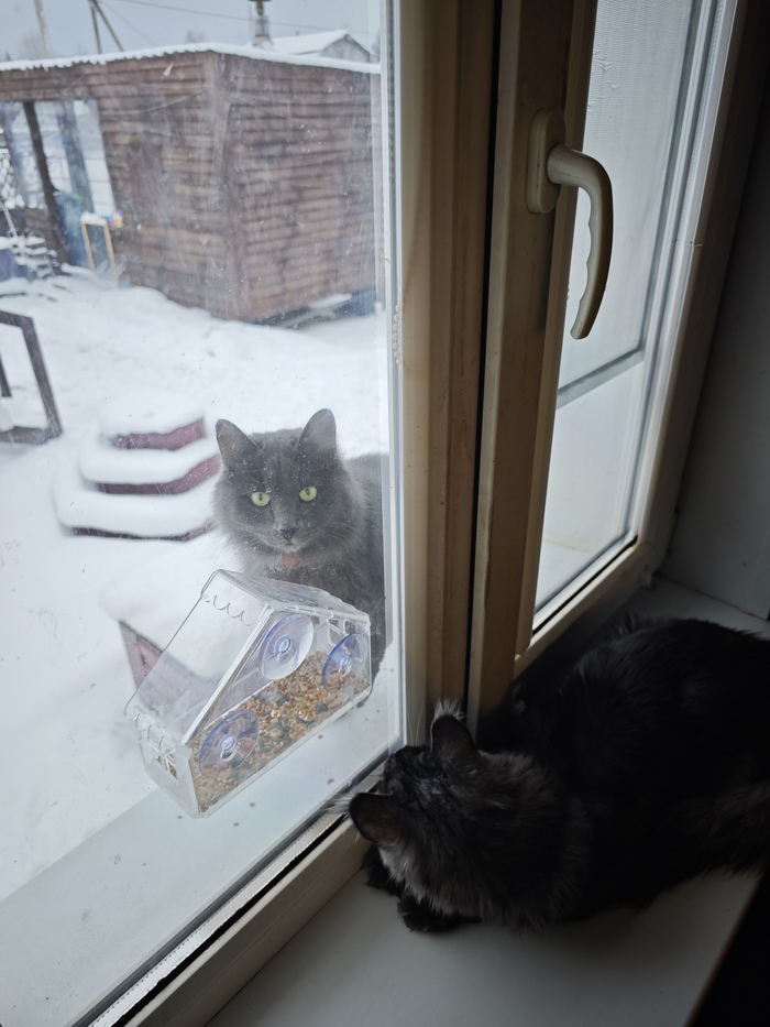 ��� �� �������