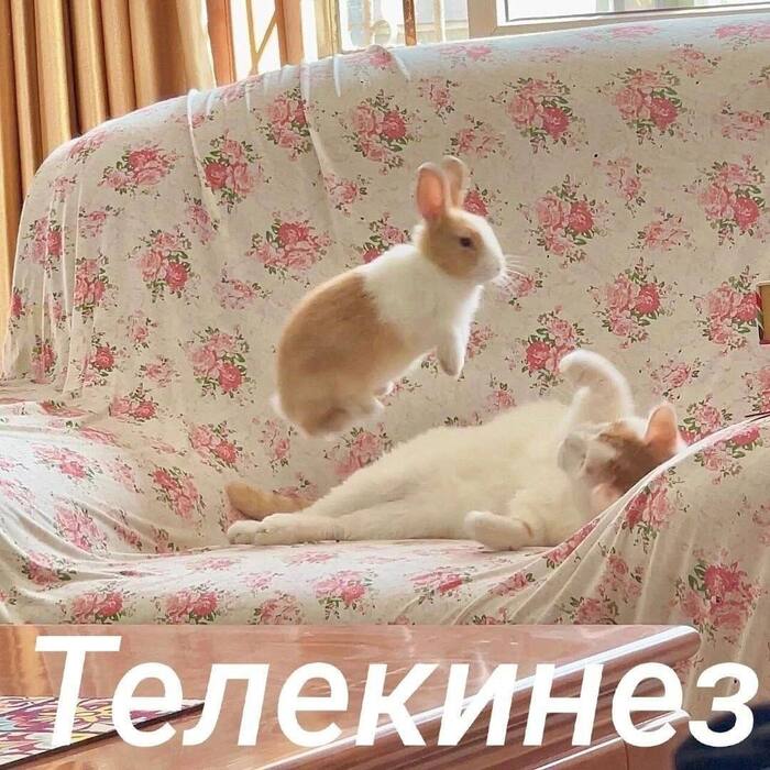 Телекинез