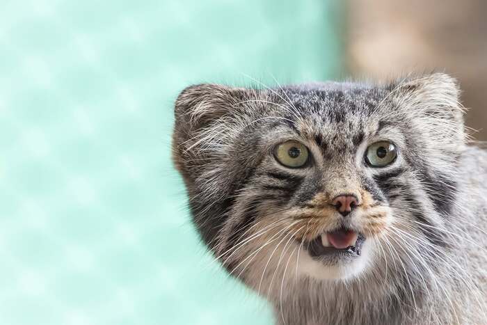 �������!