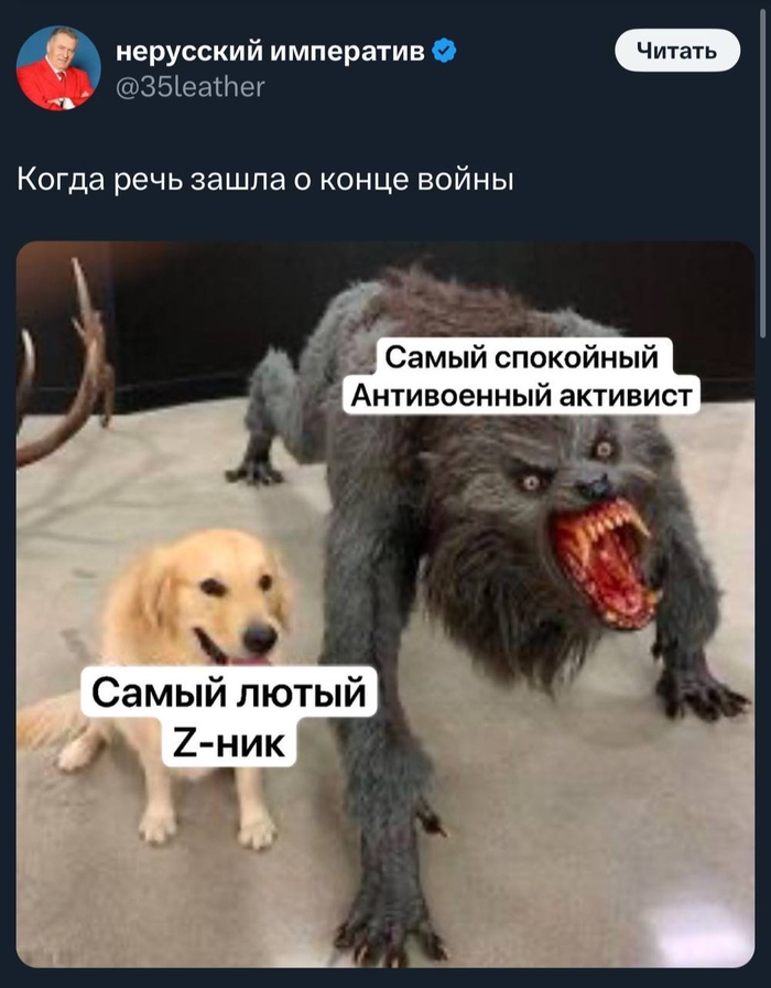  dtr315  ""   X (Twitter), , , , , ,   , ,   ,  