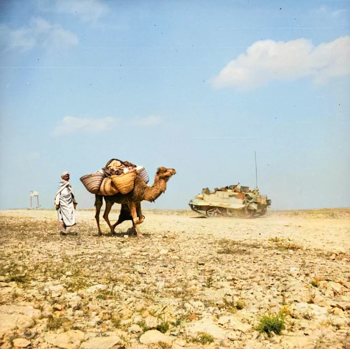Редкие и интересные фотоматериалы с фронтов Второй Мировой Войны. 20 раскрашенных фотографий. Часть III 20 век, Историческое фото, Старое фото, Вторая мировая война, Военная история, Фотография, Колоризация, Длиннопост