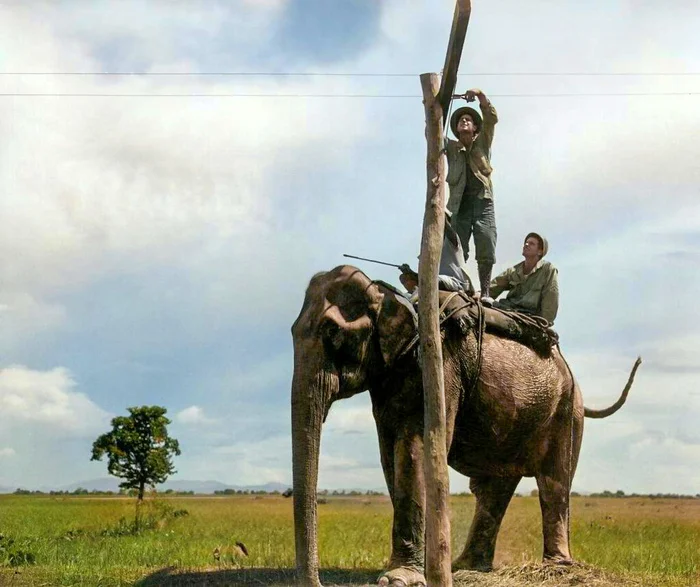 Редкие и интересные фотоматериалы с фронтов Второй Мировой Войны. 20 раскрашенных фотографий. Часть III 20 век, Историческое фото, Старое фото, Вторая мировая война, Военная история, Фотография, Колоризация, Длиннопост