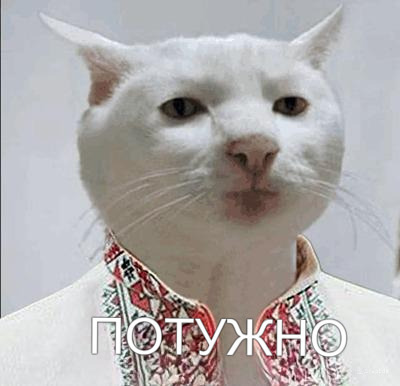       50%       ,  , , ,  ,  , 