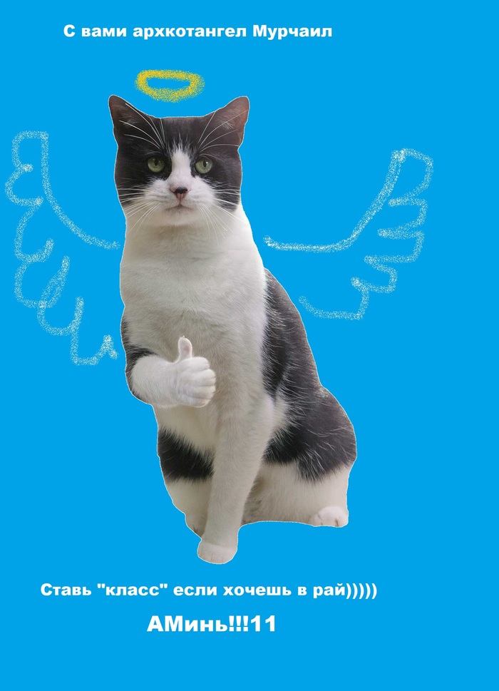 ,    ,  , , , , , ,   