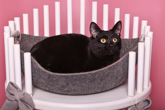 ����� ���� ���� ���