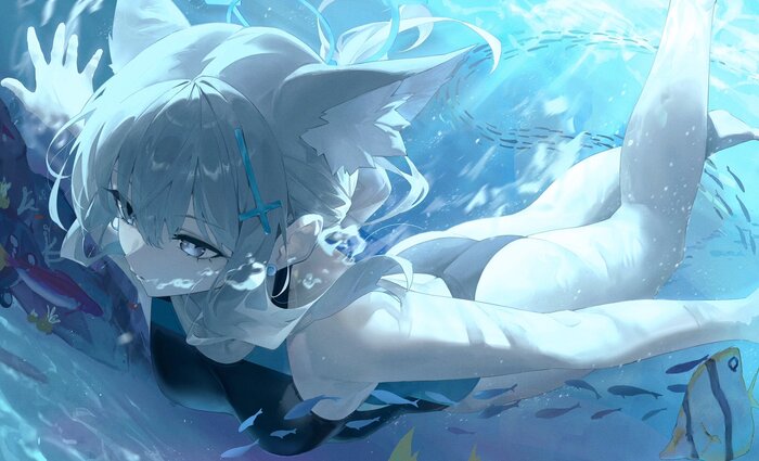     , Anime Art, , , Blue Archive, Sunaookami Shiroko, Animal Ears, , , One-piece swimsuit, , 