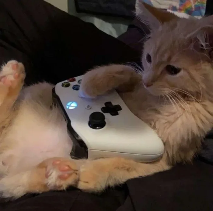About gaming on Telegram - My, Telegram, Computer games, Simulator, Mobile games, Game Reviews, 2D, Digital, Mat, Longpost