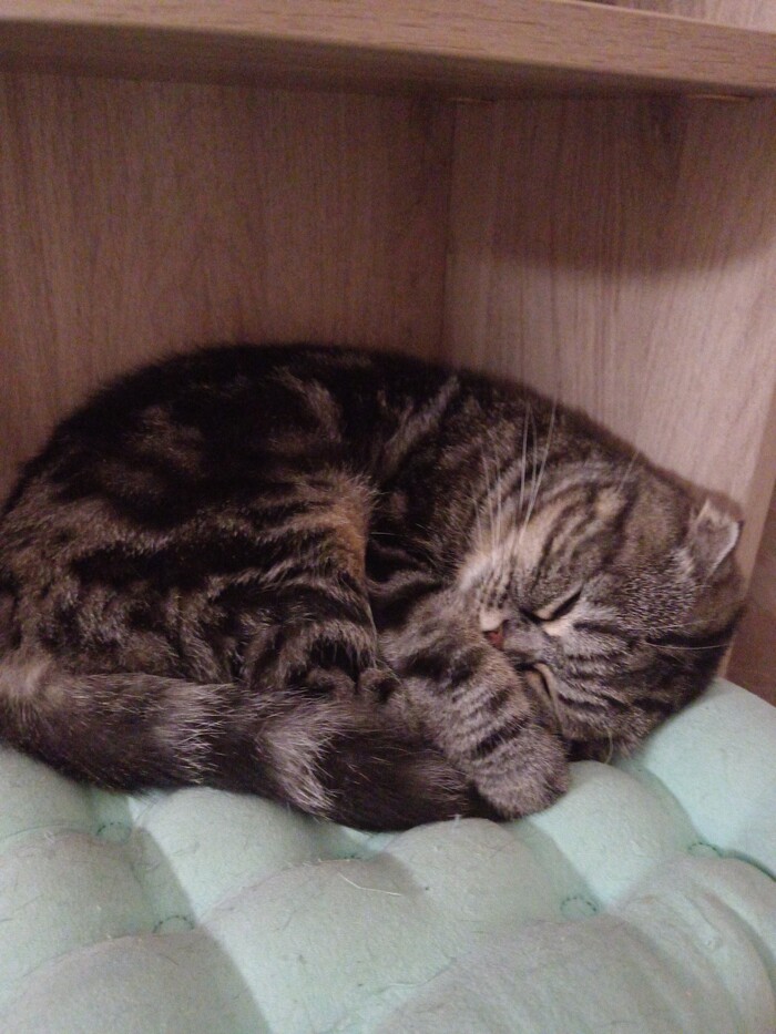 Спокойной ночи суббота