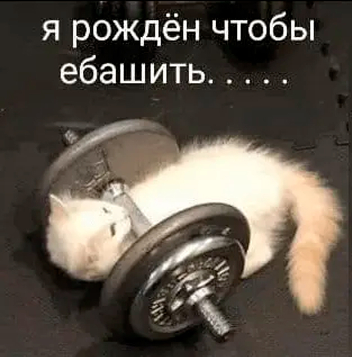      ! ,  , , , , ,  , ,  , ,  , , , ,  ,  ,  , , , , , Telegram ()
