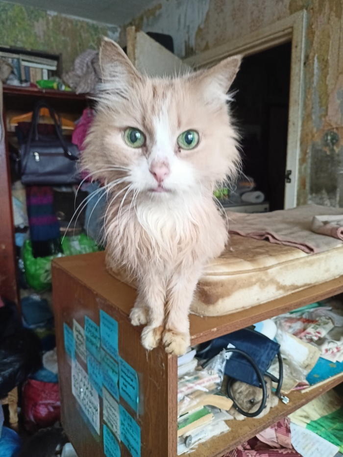   , 50      , , -, , , , ,  , ,  , , ,  